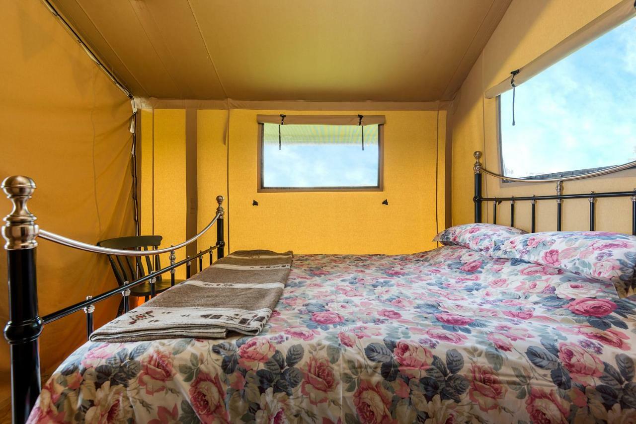 Kidwelly Glamping酒店 外观 照片